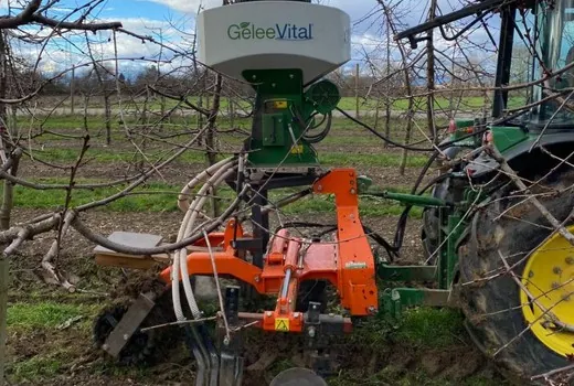 GeleeVital-Maschine: Ausbringung von PowerGelee