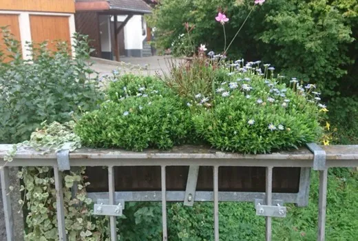 Pflanzkasten ohne VitalFlower